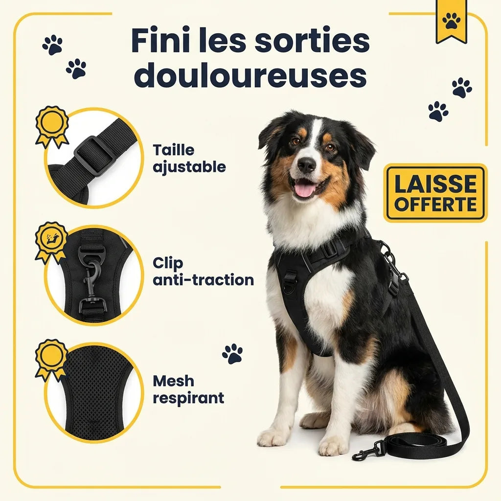 Schema du clip frontal Woufie