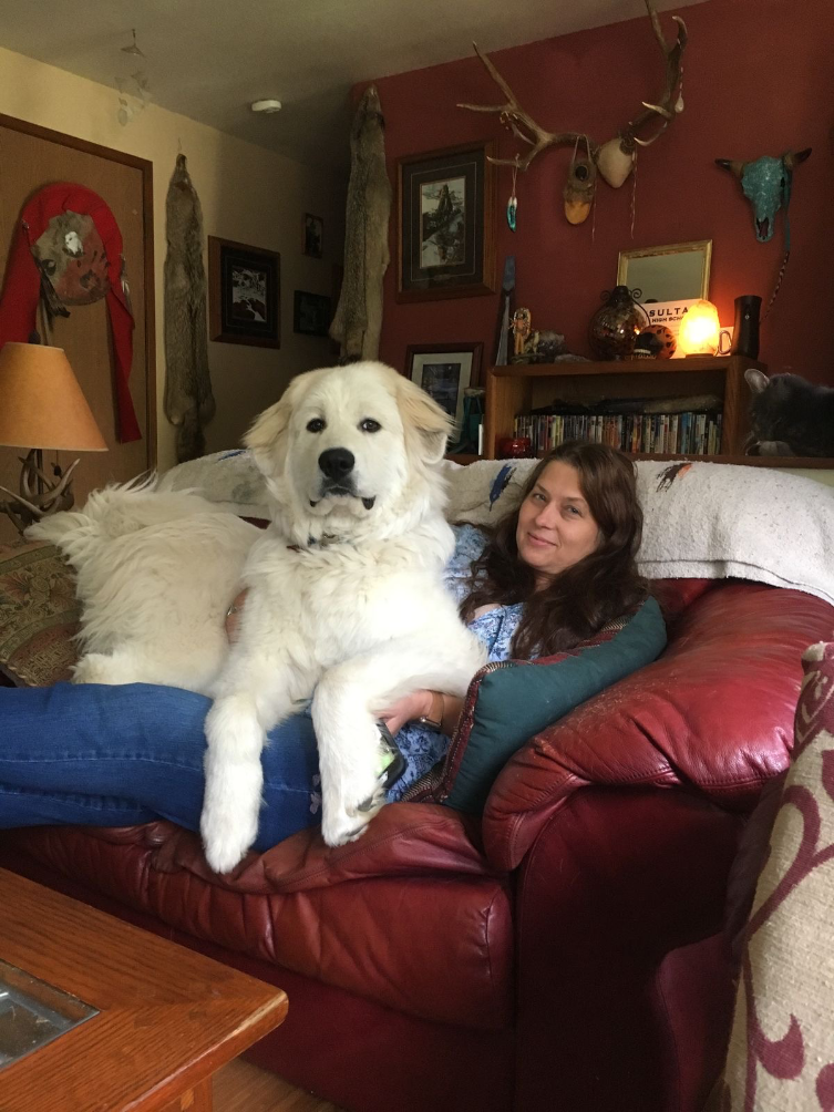 Ressource fournie histoire de balade FurLift
